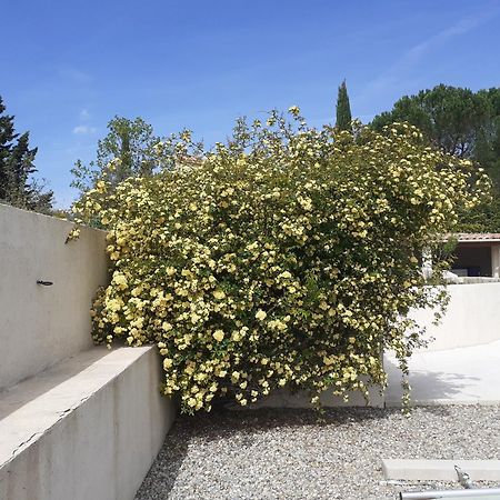 Chambres D'Hotes, B&B Climatisees La Borrellienne Saint-Maximin-la-Sainte-Baume Ngoại thất bức ảnh