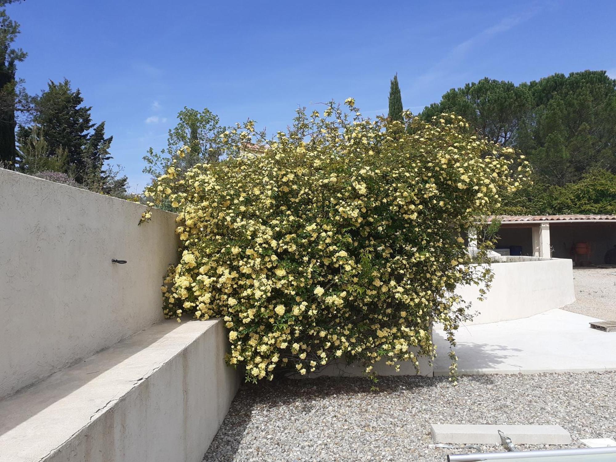 Chambres D'Hotes, B&B Climatisees La Borrellienne Saint-Maximin-la-Sainte-Baume Ngoại thất bức ảnh